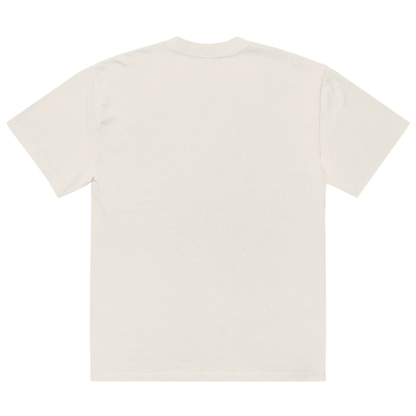 tee-oversize-sable-dos